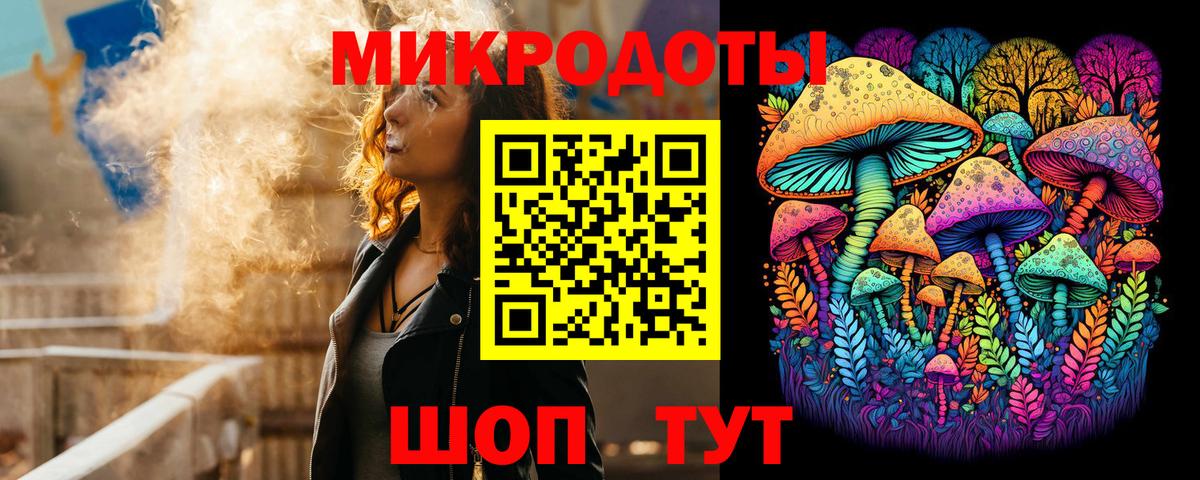 Галлюциногенные грибы Psilocybine cubensis Серов