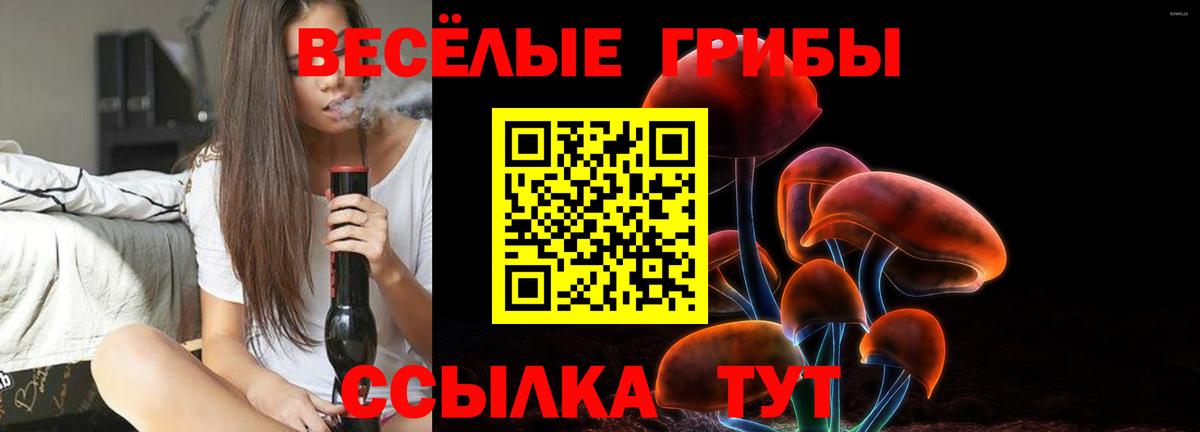 Псилоцибиновые грибы прущие грибы  Псилоцибиновые грибы Magic Shrooms  закладки  Вход с VPN  Серов 